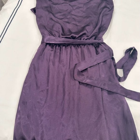 Purple Silk Dress - Picture 6 of 6